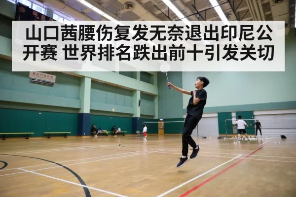 badminton court action